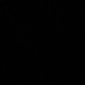 Meet your Posher, Daisy